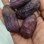 Palasakaju Select Original Jumbo Medjouls | Soft & Naturally Sweet | Jumbo Dates Medjoul | Healthy Khajur Snack | Premium Medjoul Khajoor